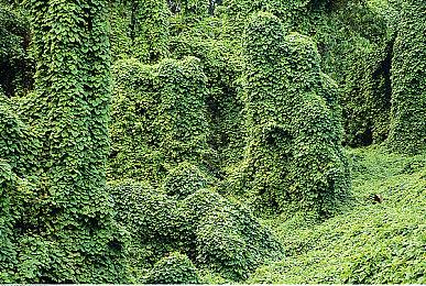 《上行战场》3月24日登陆PS4＆PS5  新预告释出